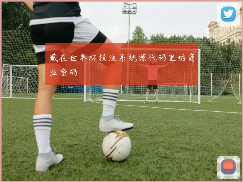 藏在世界杯投注系统源代码里的商业密码