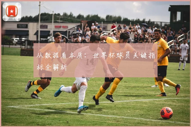 从数据看本质：世界杯球员关键指标全解析